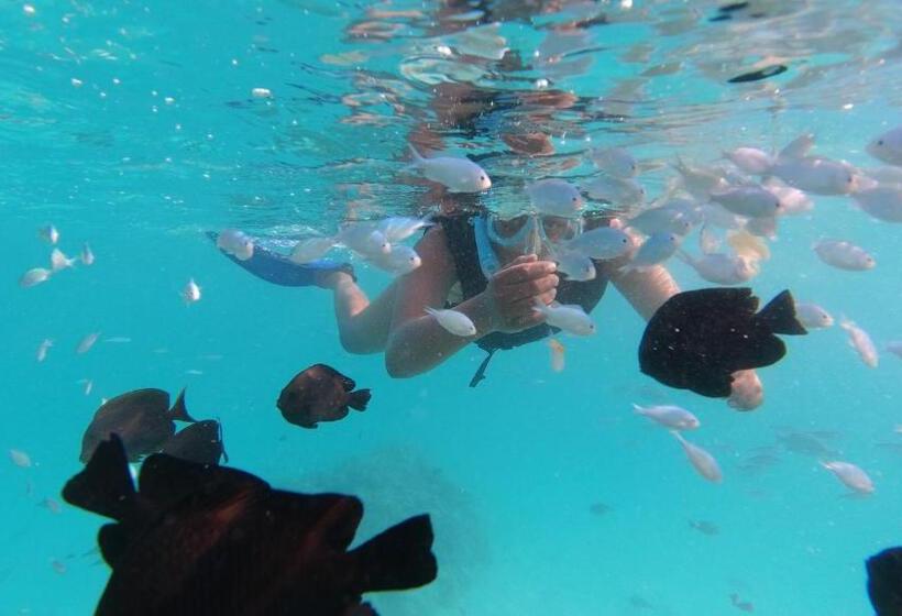 پانسیون Jerrys Dive Lodge Rasdhoo