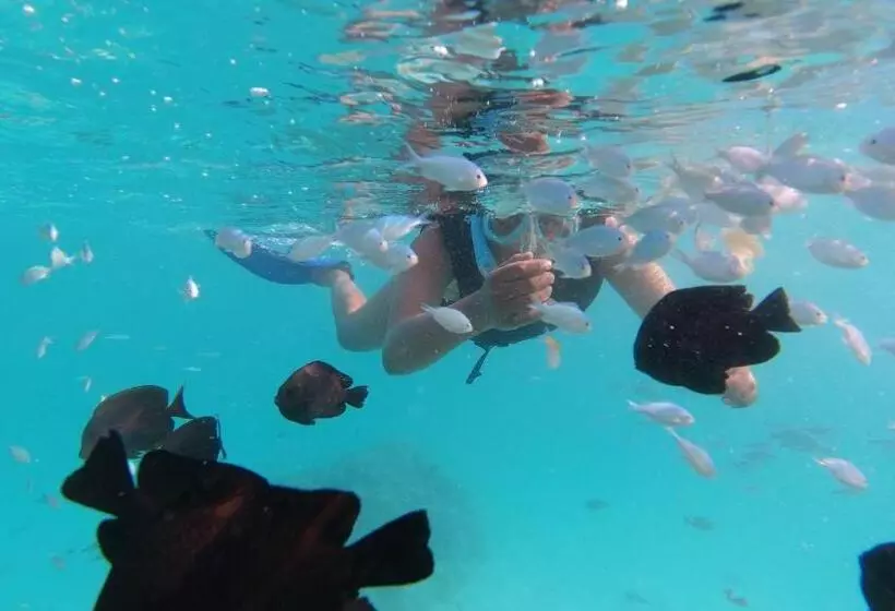 پانسیون Jerrys Dive Lodge Rasdhoo