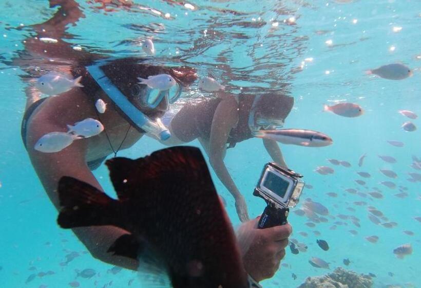 پانسیون Jerrys Dive Lodge Rasdhoo