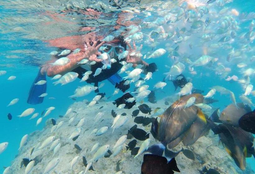 پانسیون Jerrys Dive Lodge Rasdhoo