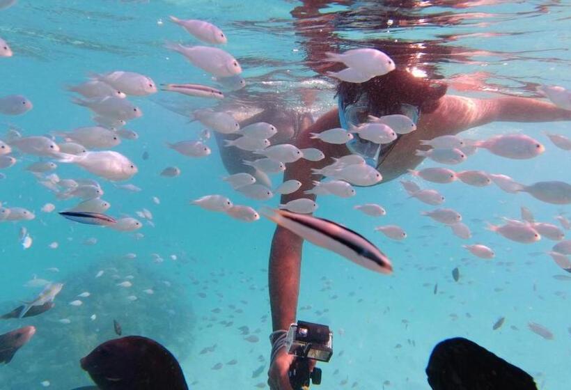 پانسیون Jerrys Dive Lodge Rasdhoo