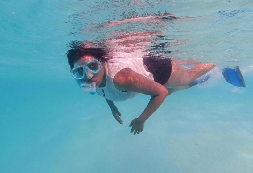 پانسیون Jerrys Dive Lodge Rasdhoo