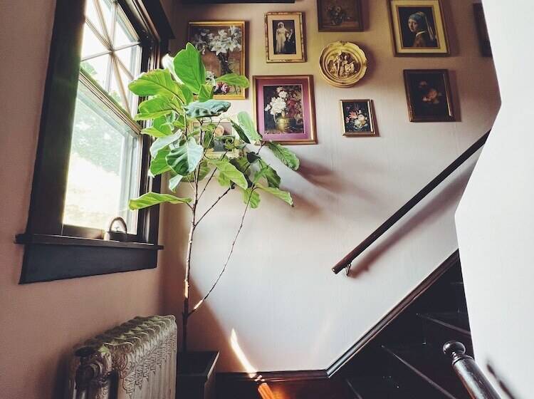 تختخواب و صبحانه Marianna Stoltz House