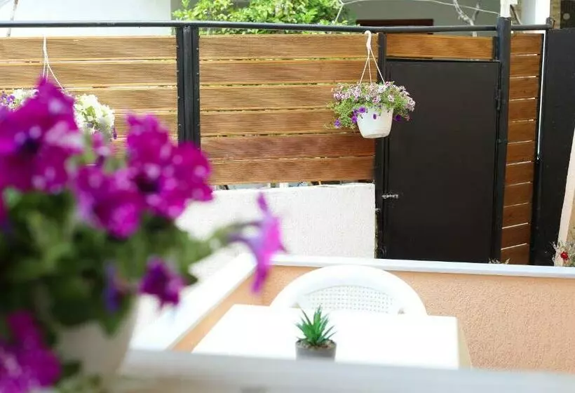 ペンション Vila Feliz   Premium Rooms With Free Private Parking