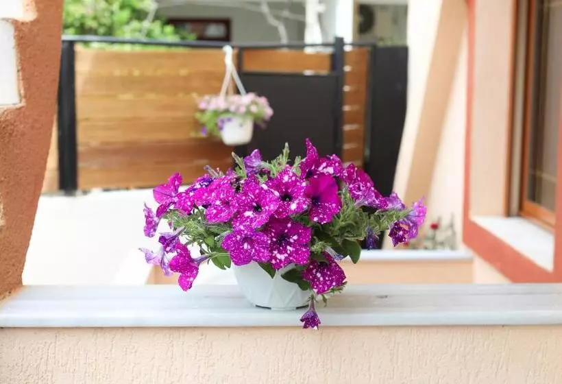 ペンション Vila Feliz   Premium Rooms With Free Private Parking