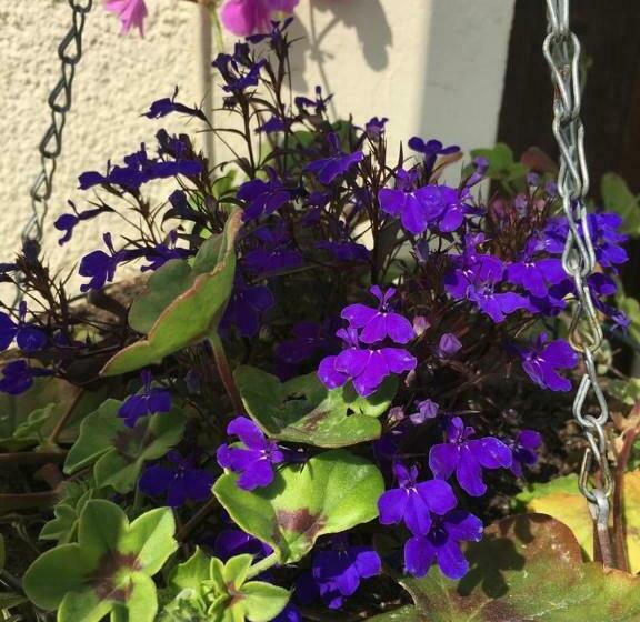 ベッドアンドブレックファースト Bleu Lavande Chambre D’hotes