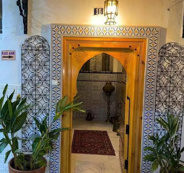 Riad Amr