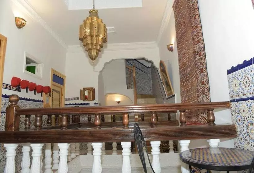 Riad Amr