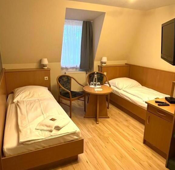 酒店 Alte Apotheke