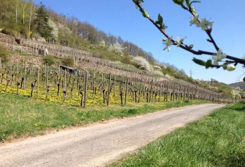 Hotelli Alte Rose Gasthaus