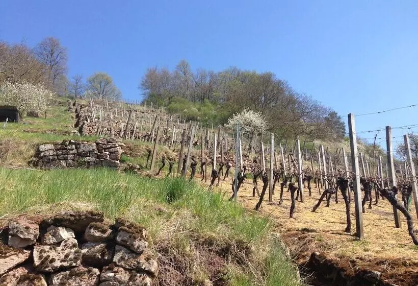 Hotelli Alte Rose Gasthaus