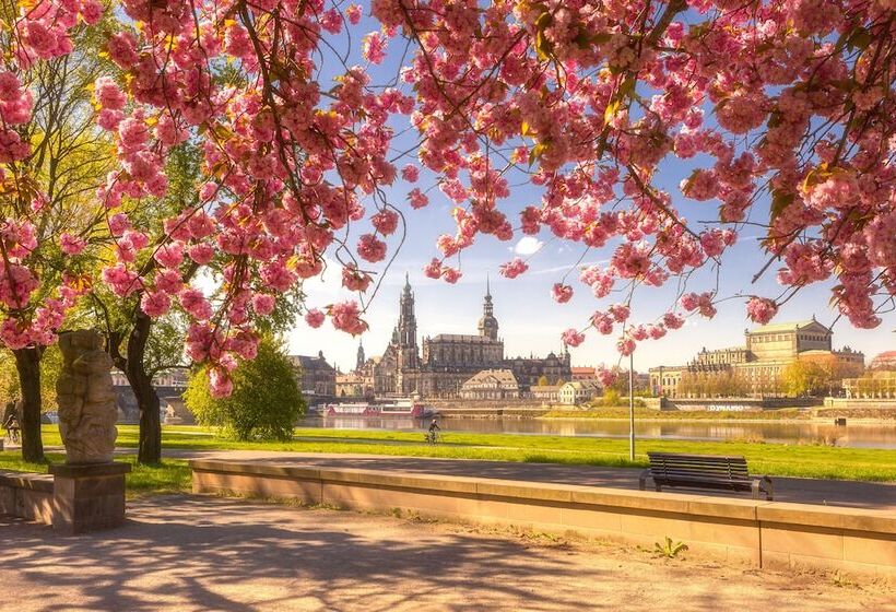 فندق Apartmenthaus Stadt Metz