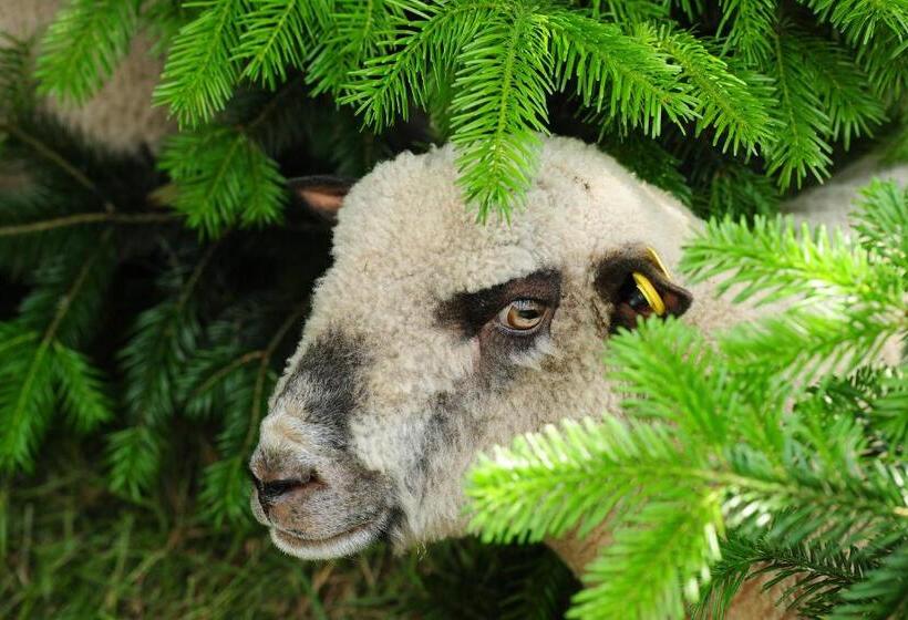 ホテル Haus Maria Lindenberg