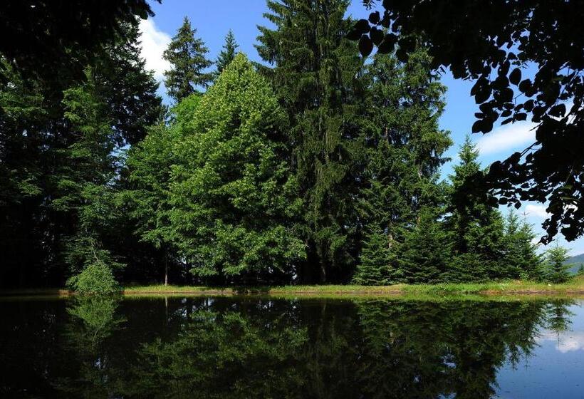 ホテル Haus Maria Lindenberg