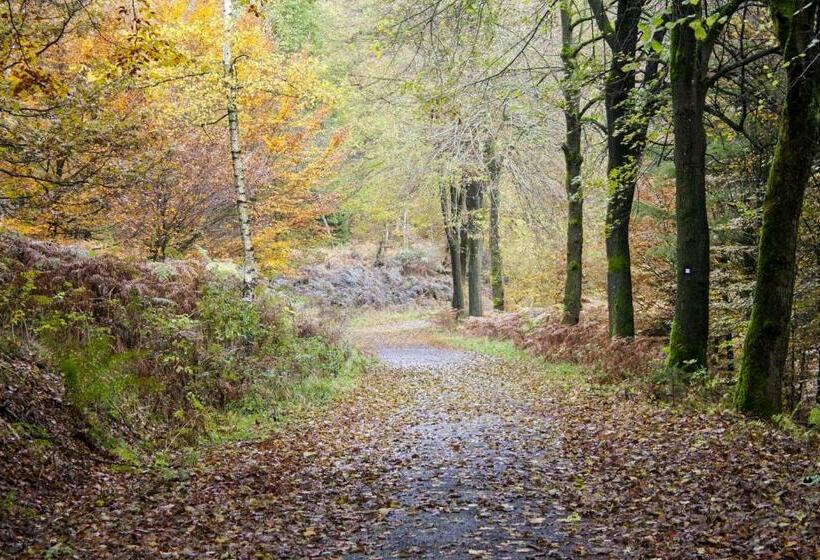 酒店 Landgasthof Hof Roscheid