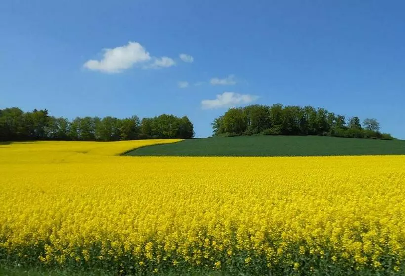 ホテル Landgasthof Hof Roscheid