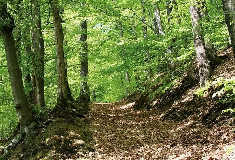 ホテル Landgasthof Hof Roscheid