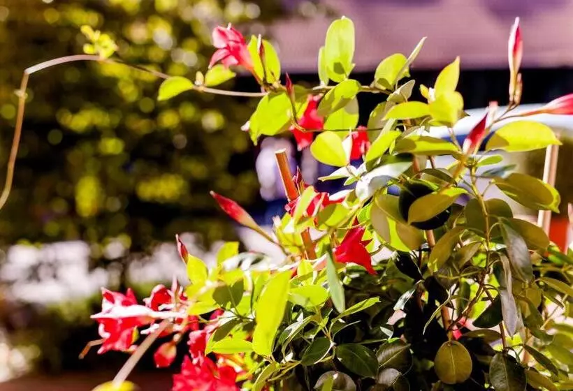 Hotelli Meyers Hofcafe