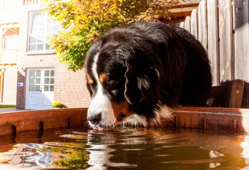 Hotelli Meyers Hofcafe