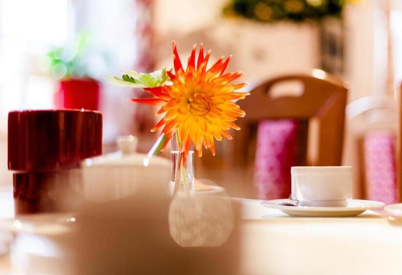 فندق Meyers Hofcafe