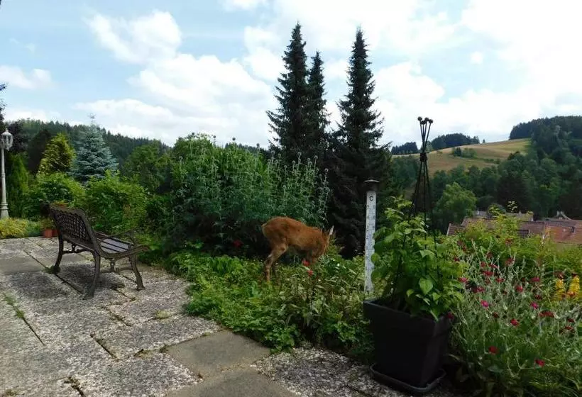 Hotelli Pension Haus Petra