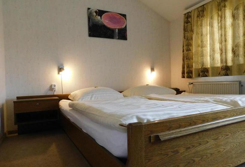 Отель Pension Haus Petra