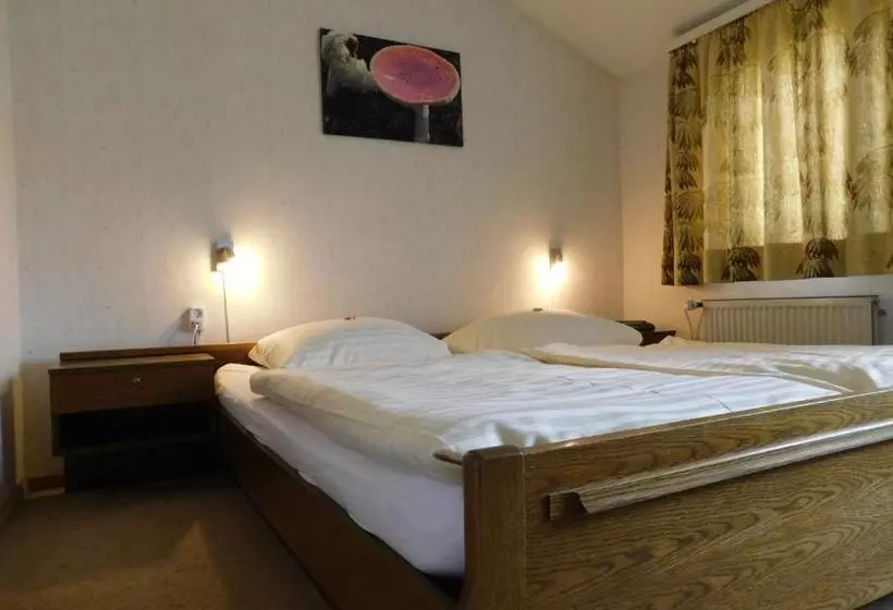 Hotelli Pension Haus Petra