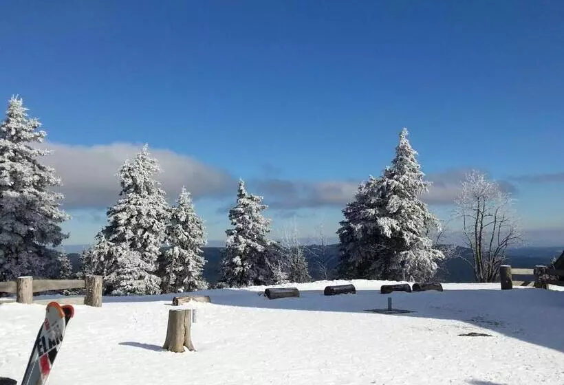 Hotelli Pension Haus Petra
