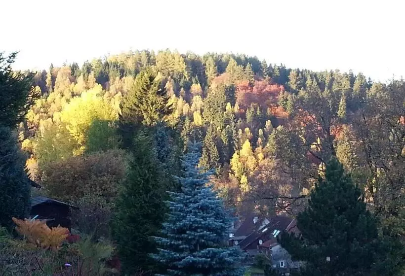 Hotelli Pension Haus Petra