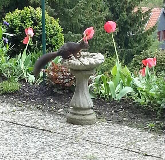 Отель Pension Haus Petra