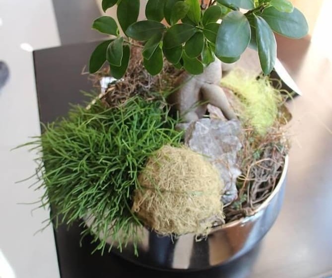 ホテル Restaurante Lorca