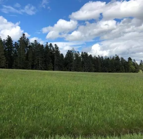 Hotelli Solhof Schömberg