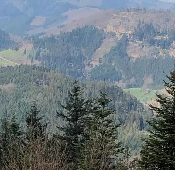 Hotelli Solhof Schömberg