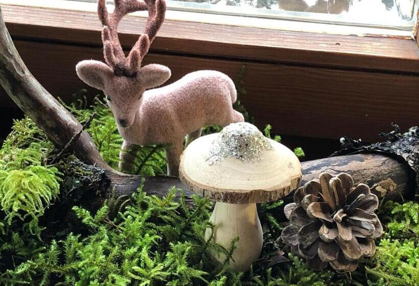 酒店 Solhof Schömberg