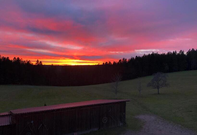 酒店 Solhof Schömberg