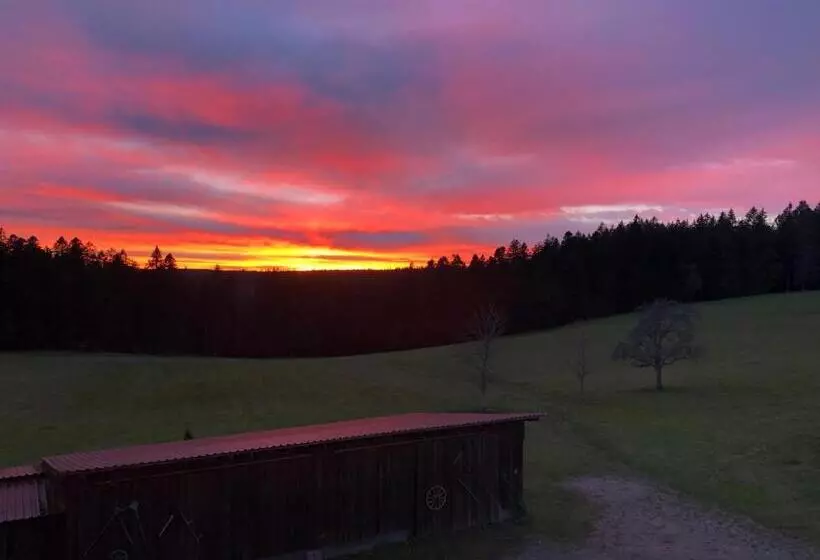 Hotelli Solhof Schömberg