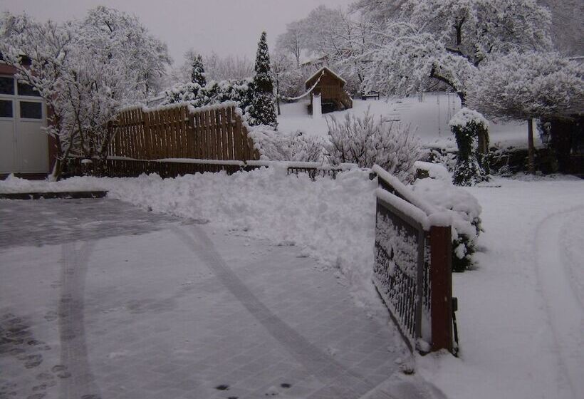 Отель Daschner Gmbh