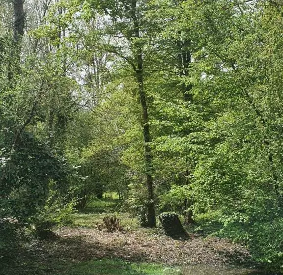 ベッドアンドブレックファースト Chambre 15 M2 Avec Sdb Privative