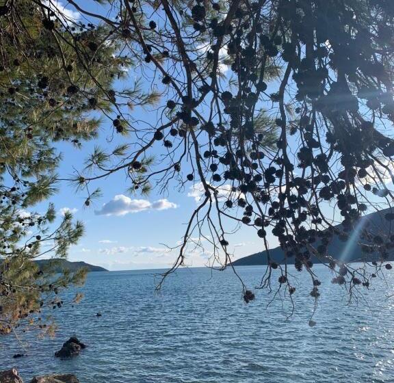 پانسیون Apartmani Srna, Igalo