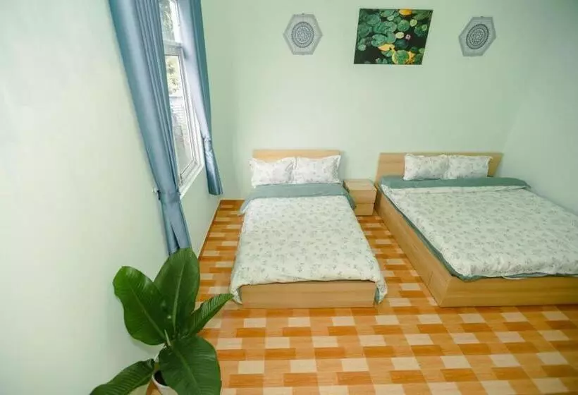 پانسیون Coca Homestay