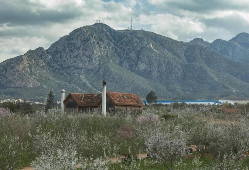 بنسيون Dar Zaghouan