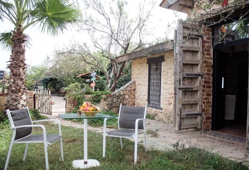 بنسيون Dar Zaghouan