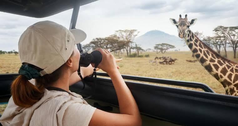 ベッドアンドブレックファースト Mahali Muzuri, Arusha