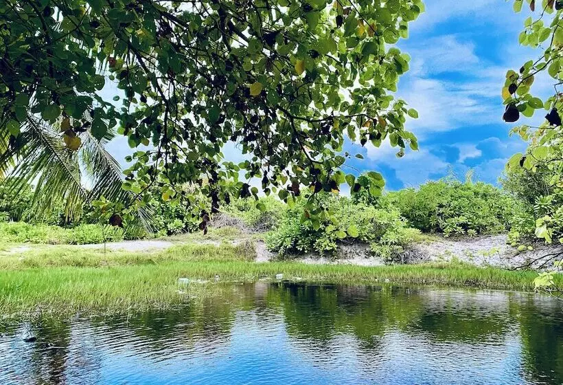 پانسیون Oasis Village Fenfushi, Maldives