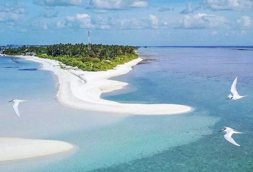 پانسیون Oasis Village Fenfushi, Maldives