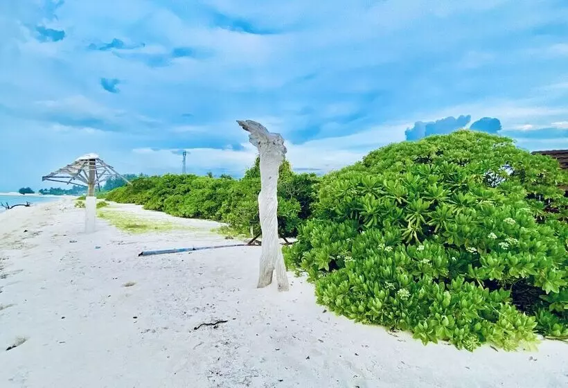 پانسیون Oasis Village Fenfushi, Maldives