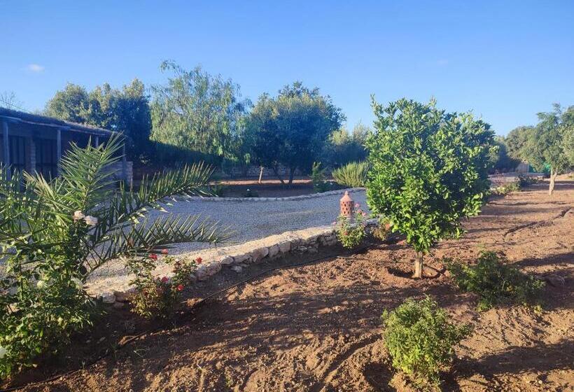 ペンション Riad Bini Ddik