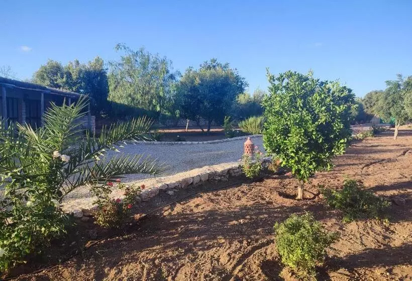 Majatalo Riad Bini Ddik