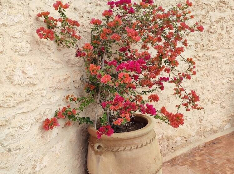 ペンション Riad Bini Ddik