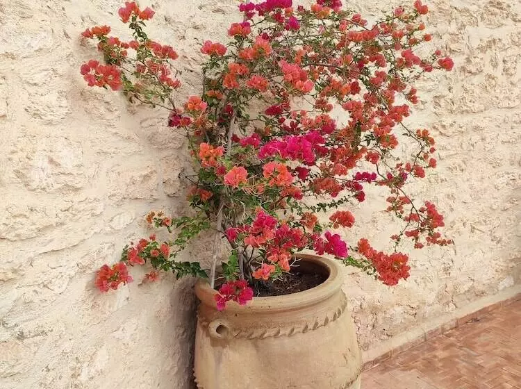 Majatalo Riad Bini Ddik